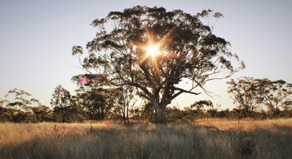 Going Off-Grid in the Sunshine Coast Hinterland