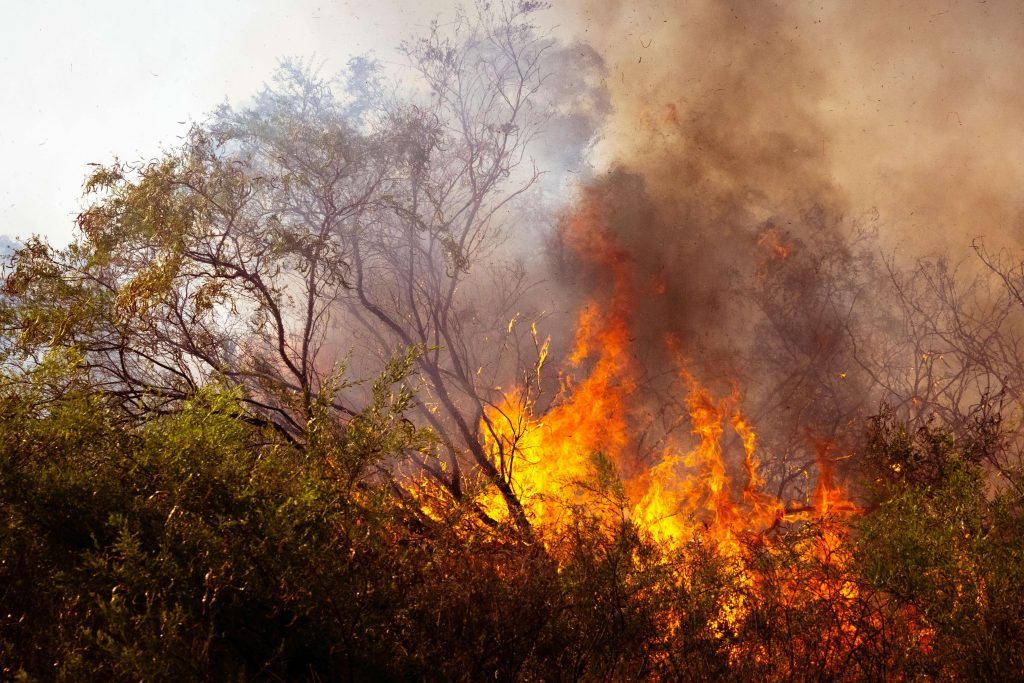 Off-Grid Solar for Bushfire-Prone Areas: Safety, Reliability & Independence